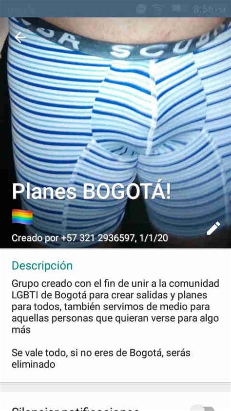 grupos gay whatsapp bogot|whatsapp gay en bogota